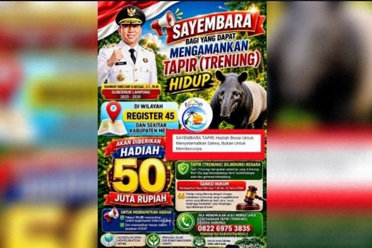Sayembara Berhadiah Rp 50 Juta untuk Selamatkan Tapir Hidup di Mesuji Lampung