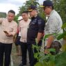 Irjen Kementan Sebut Singkong dan Lampung Potensi Sumber Ketahanan Pangan Nasional