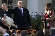 Mengenal Tradisi Pengampunan Kalkun Thanksgiving di Gedung Putih