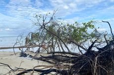 Pulau Pari Terancam Hilang, Walhi-Dompet Dhuafa Serukan Penyelamatan 