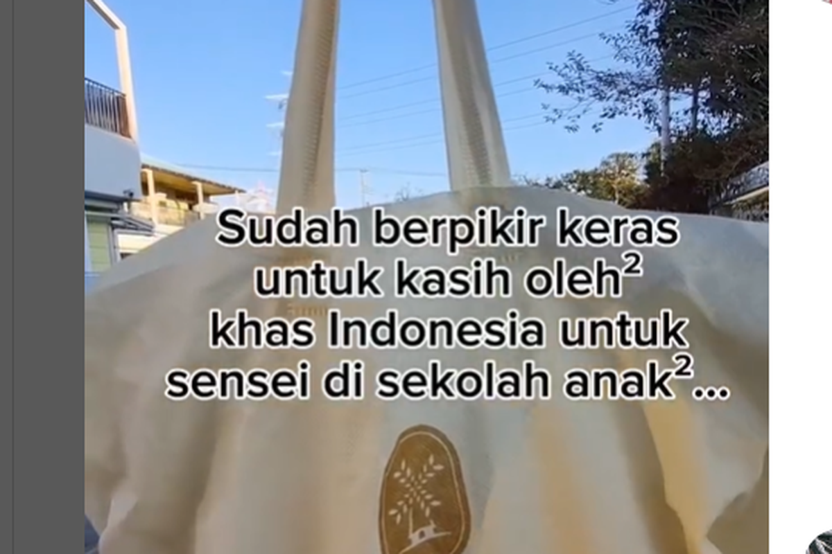 Cerita WNI Bawa Oleh-oleh untuk Guru di Jepang tapi Ditolak: Maaf Kami PNS