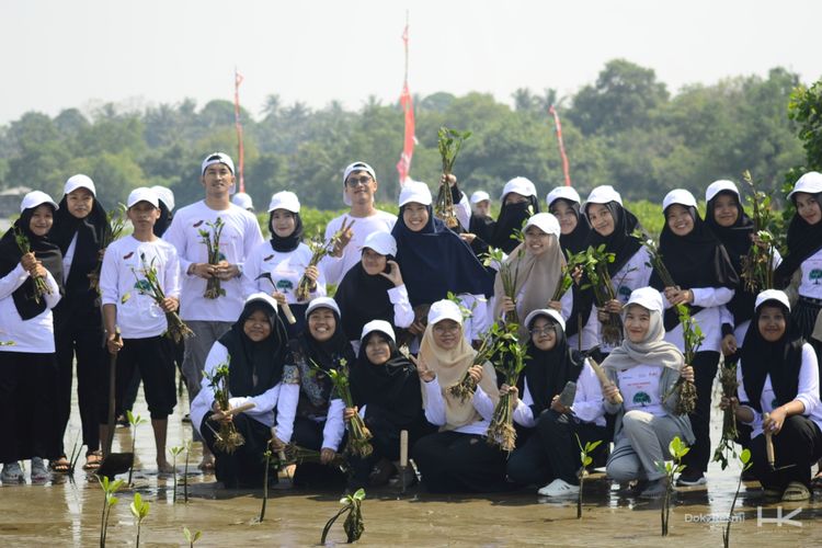  PT Hutama Karya (Persero) melakukan penanaman 2.000 bibit mangrove dalam rangka merehabilitas Pesisir Pantai Jenggalu, Bengkulu, (16/7/2024).