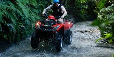 Liburan Antimainstream di Bali, Sensasi Off-road Seru dengan ATV Quad Bike