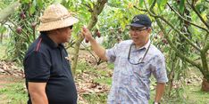 Lewat Indonesia International Cocoa Conference, Jembrana Kenalkan Potensi Kakao yang Juara