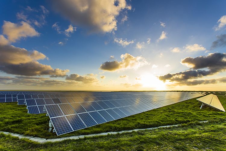 Ilustrasi keberlanjutan. 