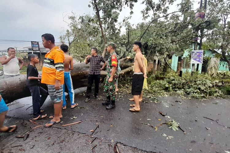 Petugas gabungan saat melakukan evakuasi dampak dari angin puting beliung di Kecamatan Sunggal, Kota Medan, Jum'at (9/6/2023)