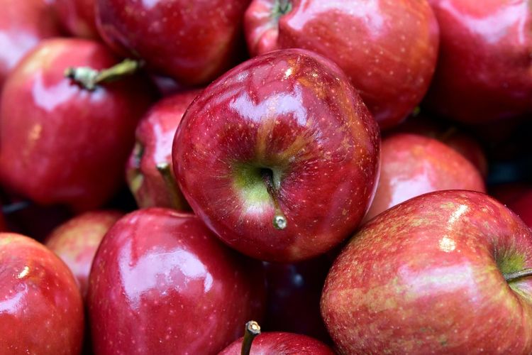 Ilustrasi apel. Apel adalah buah yang membantu menurunkan kadar kolesterol berkat kandungan serat larut bernama pektin.