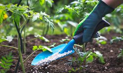 Pengamat Pertanian IPB Puji Manfaat Realisasi Pupuk Bersubsidi di Jabar