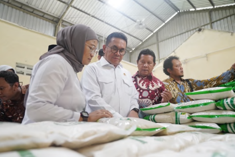 Mendag Busan lakukan kunjungan ke Gapoktan Sidomulyo di Sleman, Yogyakarta, Jumat (20/6/2025).