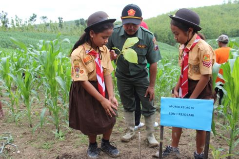  Hijaukan Lahan Gundul, Perhutani Ajak Siswa SD Tanam 13.000 Pohon Jati