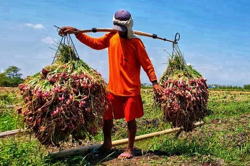 Gaji UMR Brebes 2023 dan 34 Daerah Lain se-Jateng