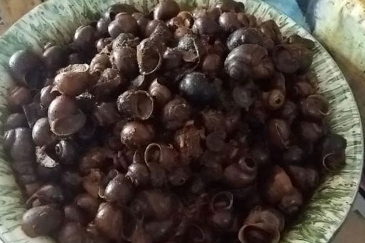 Aroma rempah-rempah semerbak di ruang dapur warung milik Chamlani (57) yang memasak keong di RT 2/6 Jalan Kauman Lama, Purwokerto Lor, Kecamatan Purwokerto Timur. 