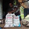 Keluhan Petani Dibantah, Pupuk Subsidi di Maluku Tak Ribet, Cuma Perlu KTP