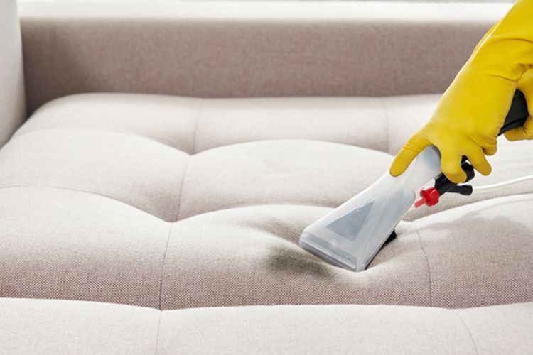 Ilustrasi membersihkan sofa. 