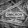 Satu Kasus Omicron Ditemukan, Menkes: Transmisi Komunitas Belum Ditemui