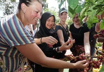 Produksi Capai 10.600 Ton, Pemkab Banyuwangi Promosikan Kopi Lewat Festival 