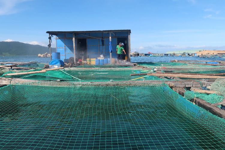 Ilustrasi tambak ikan.
