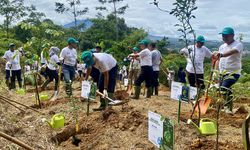 Lestarikan Lingkungan, WIKA dan BRIN Tanam 29 Spesies Pohon Langka