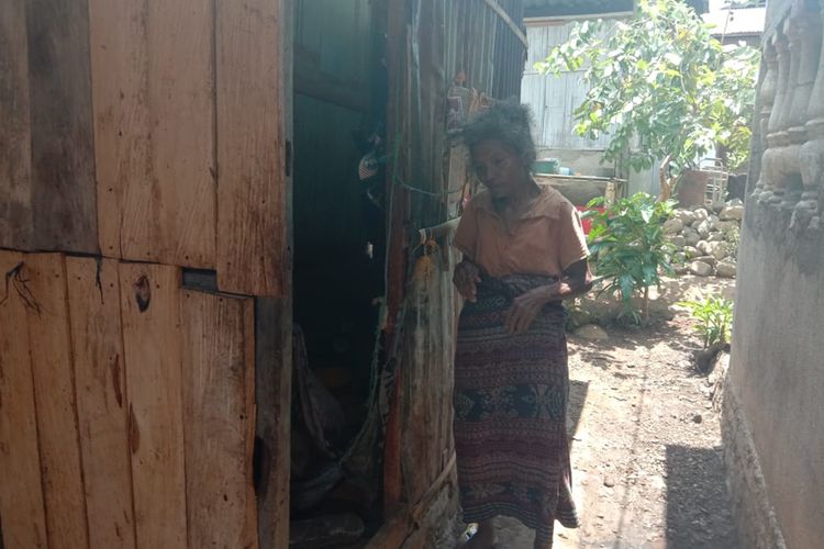 Foto : Nenek Theresia Sensi (70), seorang warga Kelurahan Mandawat, Kecamatan Alok, Kabupaten Sikka, Flores, NTT saat ditemui Kompas.com, di gubuk reyotnya, Kamis (21/11/2019).