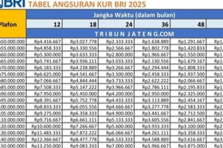 Tabel Angsuran KUR BRI 2025, Catat Rincian Pinjaman dan Cicilan