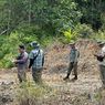 Terbongkar! Kades-Sekdes Jual 150 Hektare Hutan Nasional di Riau ke Cukong Sawit