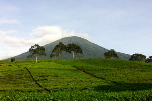 11 Pendaki Gunung Dempo Kena 