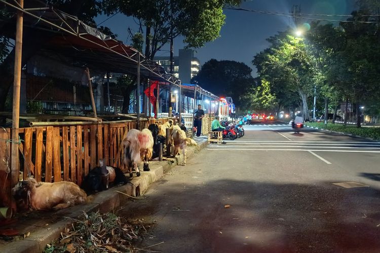 Pedagang Hewan Kurban Kuasai Trotoar di Pulogadung Jaktim, Warga Terpaksa Melintas di Jalan