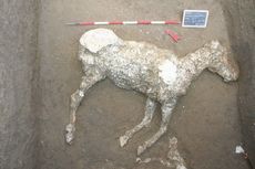 Temuan Kuda Beku Ungkap Kehidupan di Pompeii 2.000 Tahun Silam