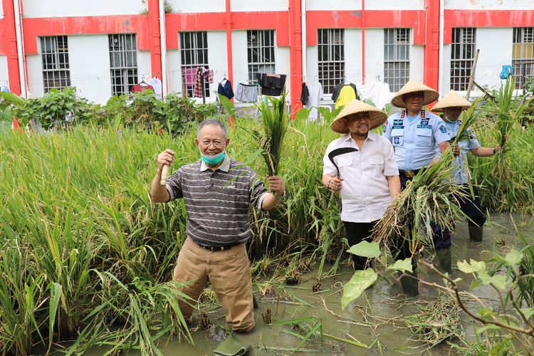 tampak mantan walikota Bandung Dada Rosada, Ketua DPR RI Setyanovanto tengah berfoto bersama setelah memanen padi pada acara panen raya perdana pos kerja pertanian yang merupakan program binaan Lapas Sukamiskin.