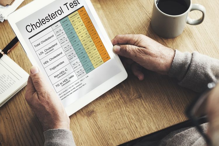 Makanan Penurun Kolestrol&nbsp;