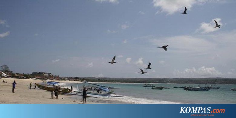Memancing Burung Camar Di Kedonganan