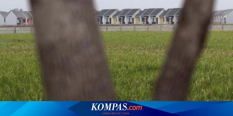 19 Jelaskan Fungsi Utama Bank