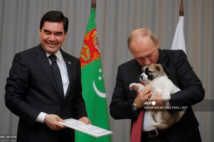 Foto yang diambil pada 11 Oktober 2017 memperlihatkan Presiden Turkmenistan Gurbanguly Berdimuhamedov (kiri) memberikan anak anjing gembala berjenis Alabay kepada Presiden Rusia Vladimir Putin selama pertemuan di Sochi.