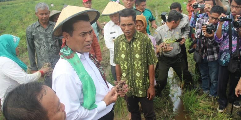 Menteri Pertanian Andi Amran Sulaiman (kemeja putih bercaping) berdialog dengan petani saat panen bawang merah di Desa Shabah, Kecamatan Bungur, Kabupaten Tapin, Kalimantan Selatan, Kamis (15/12). Petani di daerah tersebut berhasil mengembangkan bawang merah di areal seluas 410 hektar dengan produktivitas rata-rata 9-10 ton per hektar sejak tiga tahun lalu. Atas keberhasilan itu, Menteri Pertanian mendorong Kalimantan untuk bisa segera mewujudkan swasembada bawang merah.