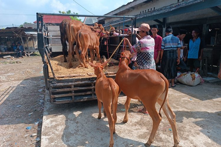 Jual beli sapi di pasar Keppo, Desa Polagan, Kecamatan Galis, Kabupaten Pamekasan, Selasa (26/7/2022) mulai ramai kembali setelah gencar vaksinasi dilakukan oleh pemerintah.