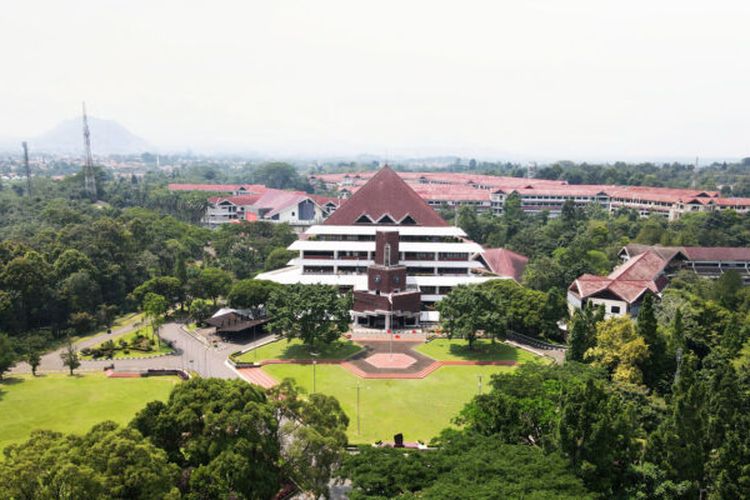 IPB University