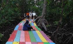 Berkat Hutan Mangrove, Nelayan dan Petani Kelapa di Maluku Utara Punya Penghasilan Tambahan