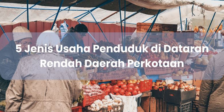 5 Jenis Usaha Penduduk Di Dataran Rendah Daerah Perkotaan