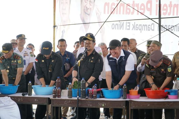 Gubernur Sumsel Herman Deru dan Mentan SYL dalam acara tanam padi perdana Gerakan Nasional Tanam Padi El Nino di Desa Pelabuhan Dalam, Kabupaten Ogan Ilir, Sumsel, Senin (7/8/2023).