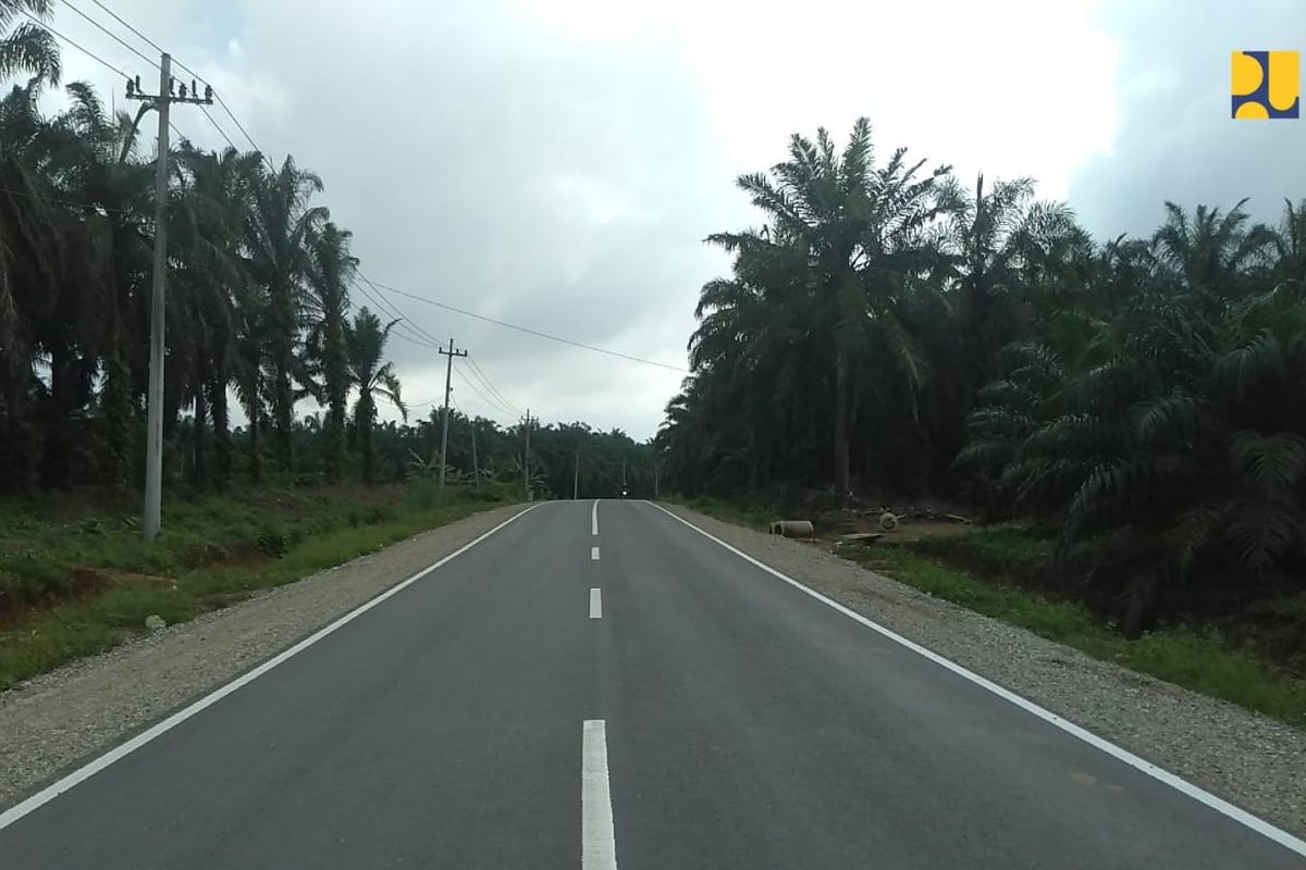 Presiden Jokowi Resmikan 10 Ruas Inpres Jalan Daerah Sepanjang 63 Km di Provinsi Riau