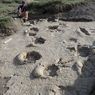 Penampakan Jejak Kaki 70 Cm di Saizhurakh, Bukti Konvoi Dinosaurus 120 Juta Tahun Lalu