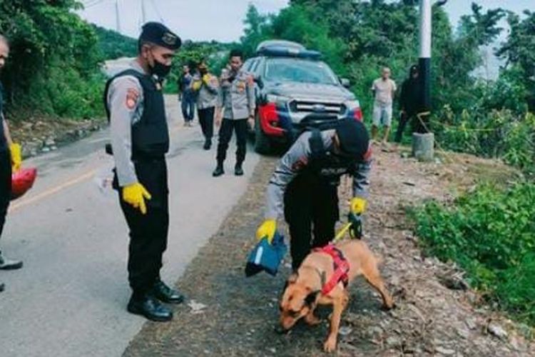 Foto//Suasana Polisi Libatkan Anjing Pelacak Bantu Pencarian Hilangnya dr.Faisal di Kabupaten Toli-Toli Pada Kamis (12/05)