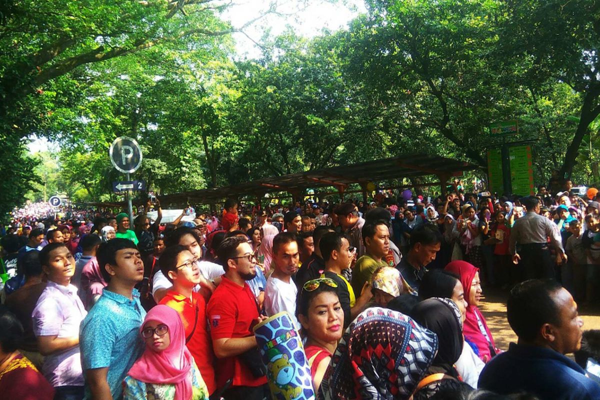 Penunjung Taman Margasatwa Ragunan menunggu kedatangan Presiden Joko Widodo, Kamis (29/6/2017).
