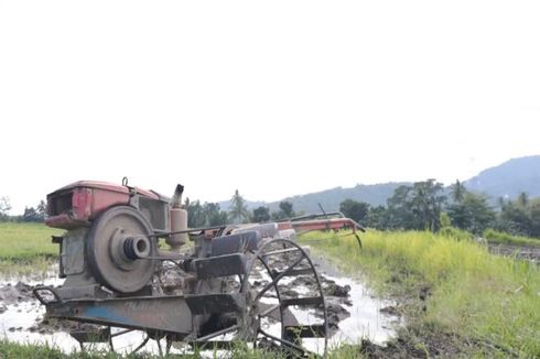 Semakin Diminati Petani, Serapan KUR Pertanian Tembus Rp 39,337 Triliun