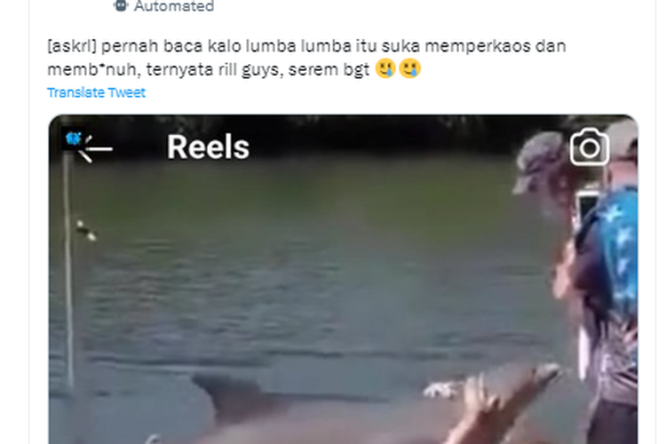 Tangkapan layar twit warganet yang menyebut lumba-lumba suka memperkosa dan membunuh