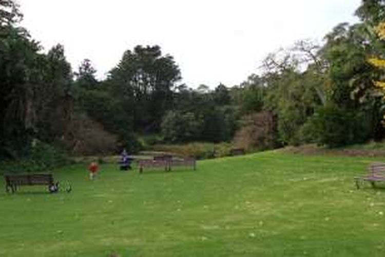 Royal Botanic Gardens Melbourne 