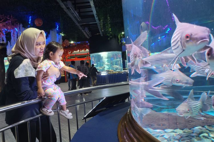 Wahana Aquarium Kansae di Taman Wisata Pendidikan Purbasari Pancuran Mas, Kabupaten Purbalingga, Jawa Tengah