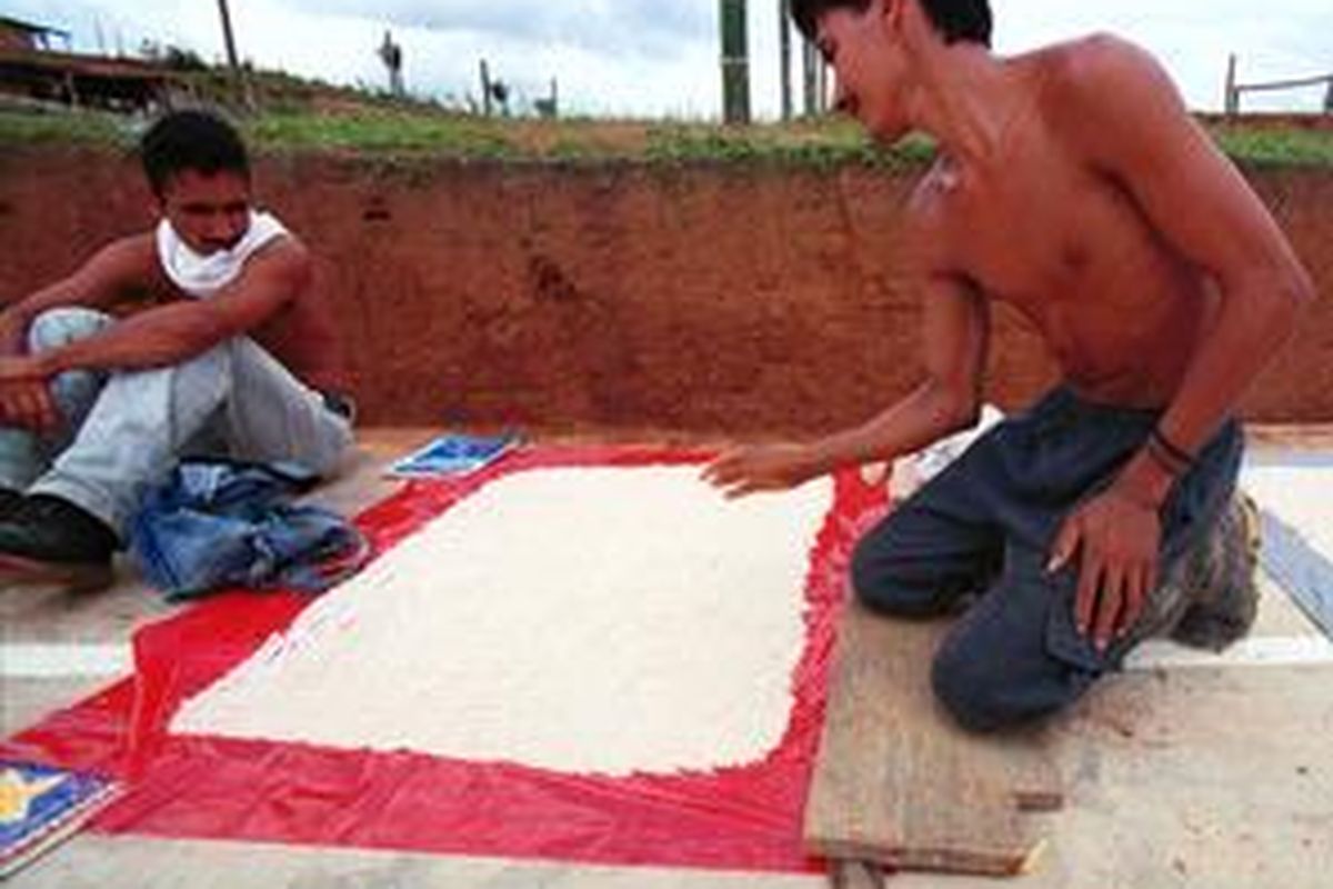 Warga pedesaan di Montserate Kolombia sedang mengeringkan kokain di bawah sinar matahari.