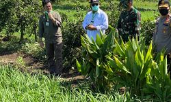 Kementan Perbaiki Infrastruktur Air untuk Optimasi Lahan Rawa