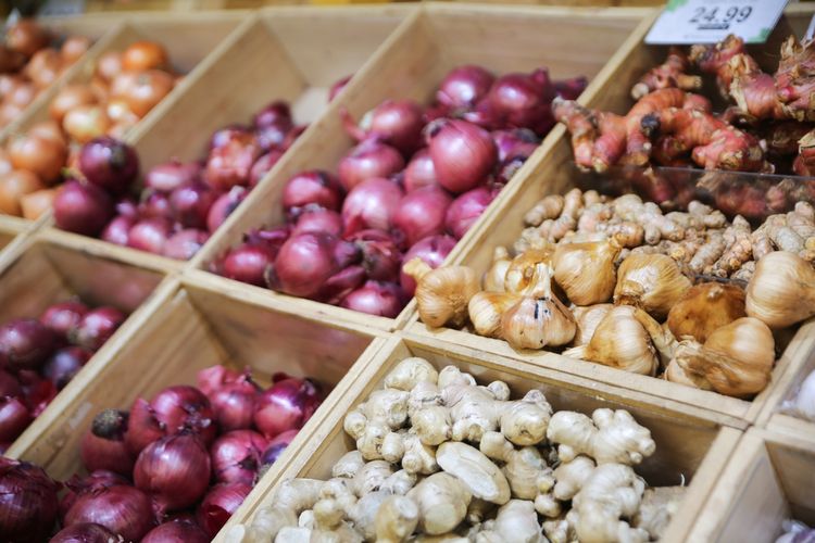 ilustrasi bawang merah